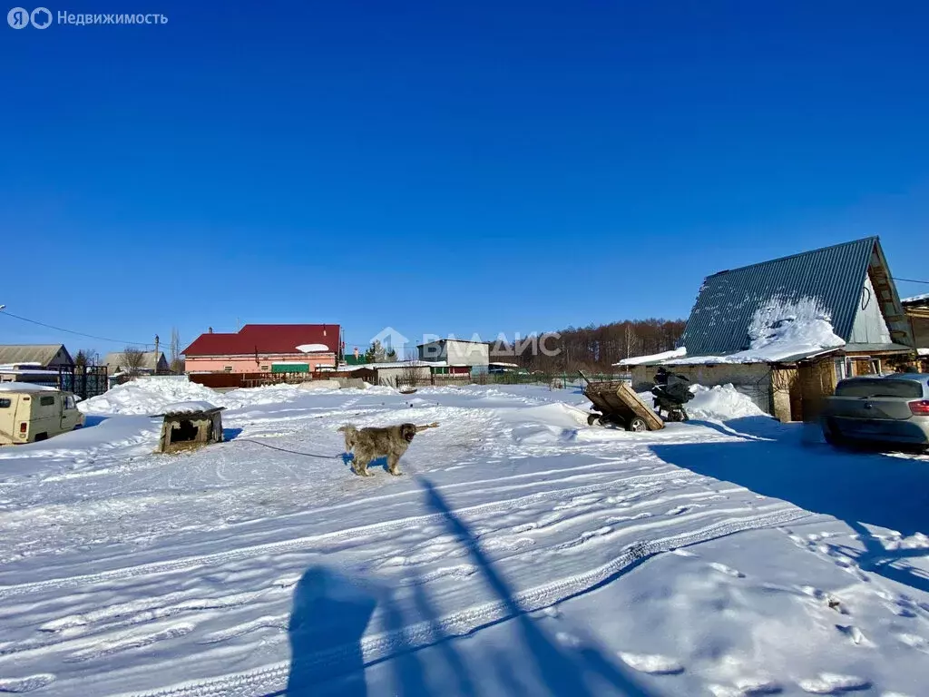 Участок в деревня Восточный, Майская улица, 29 (18 м) - Фото 1