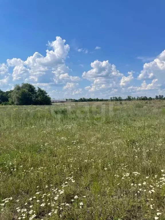 Дом в Белгородская область, Старооскольский городской округ, с. ... - Фото 1