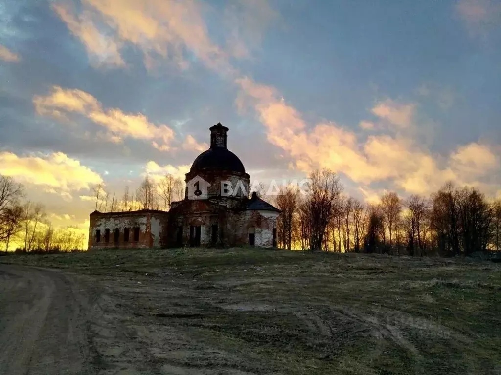 Участок в Вологодская область, д. Янгосарь  (10.0 сот.) - Фото 0