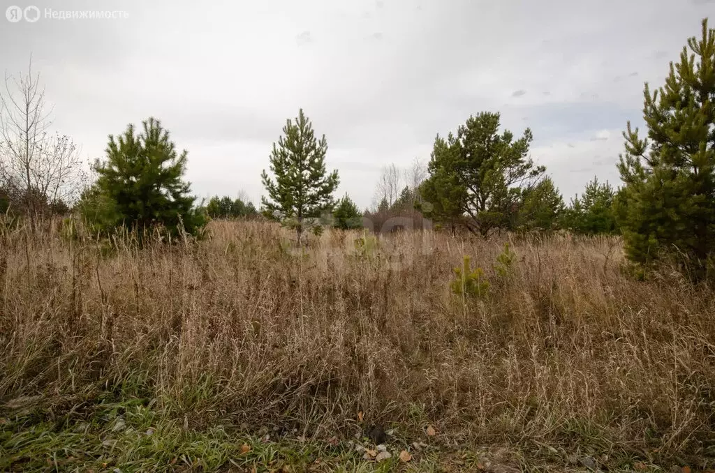 Участок в Заводоуковск, СНТ Колос (7.09 м) - Фото 2