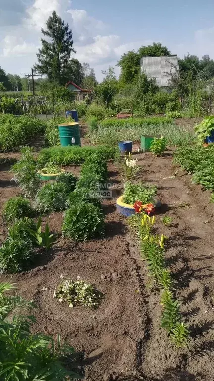 Дача 55 м на участке 5 сот. - Фото 0