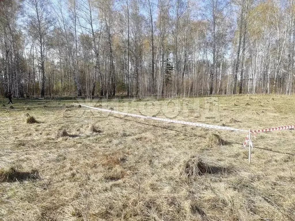 Участок в Новосибирская область, Мошковский район, Индия кп, ... - Фото 2