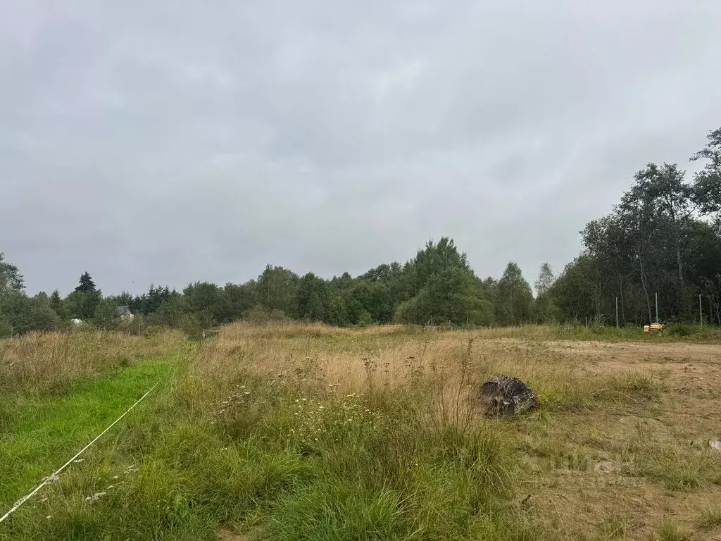 Участок в Ленинградская область, Кировский район, Мгинское городское ... - Фото 0