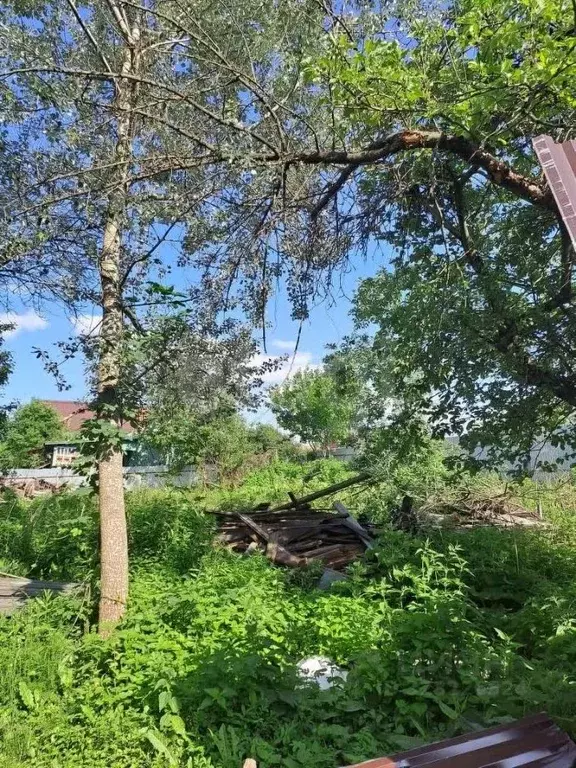 Участок в Москва д. Бачурино, уч11 (10.0 сот.) - Фото 2