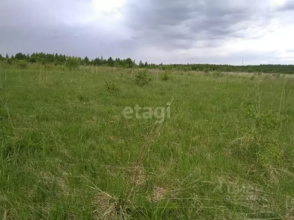 Купить Земельный Участок В Нытве Свежие Объявления