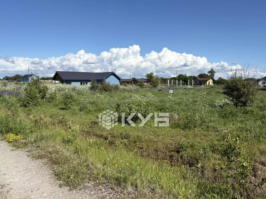 Участок в Калининградская область, Зеленоградский муниципальный округ, ... - Фото 1