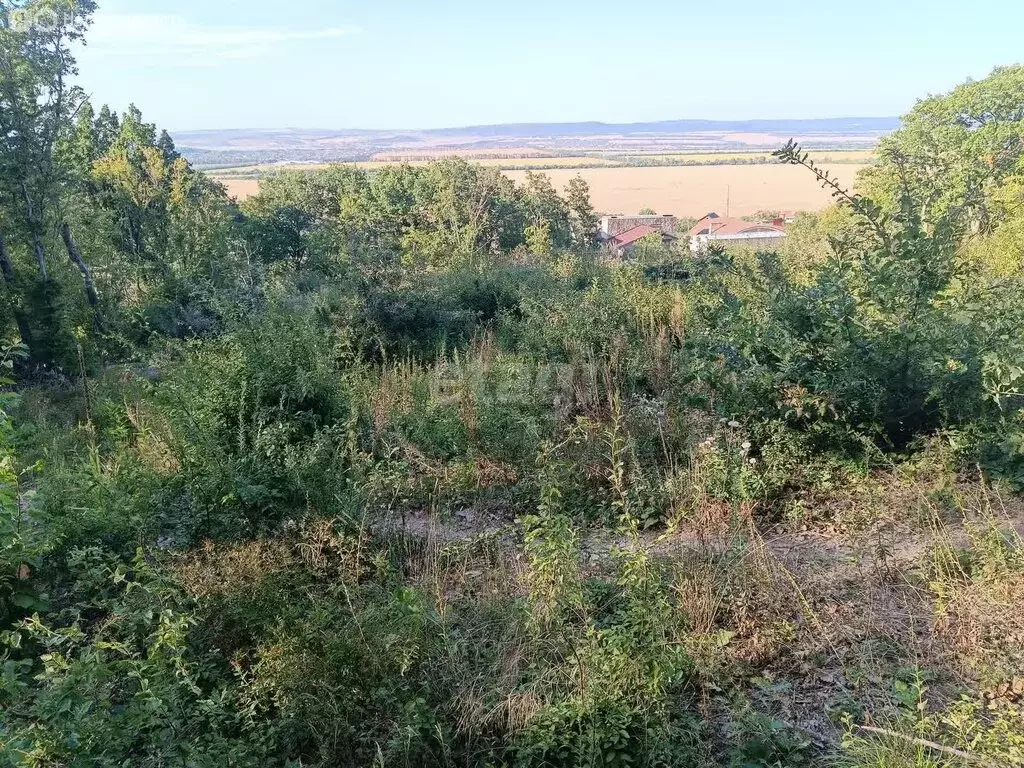 Участок в Краснодарский край, муниципальный округ Анапа, село Супсех ... - Фото 1