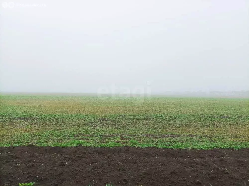 Участок в Семисотка, Восточная улица, 28 (1064.2 м) - Фото 1