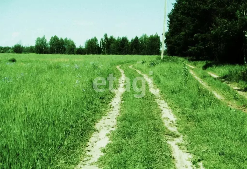 Участок в Калужская область, Тарусский муниципальный округ, Некрасово ... - Фото 2