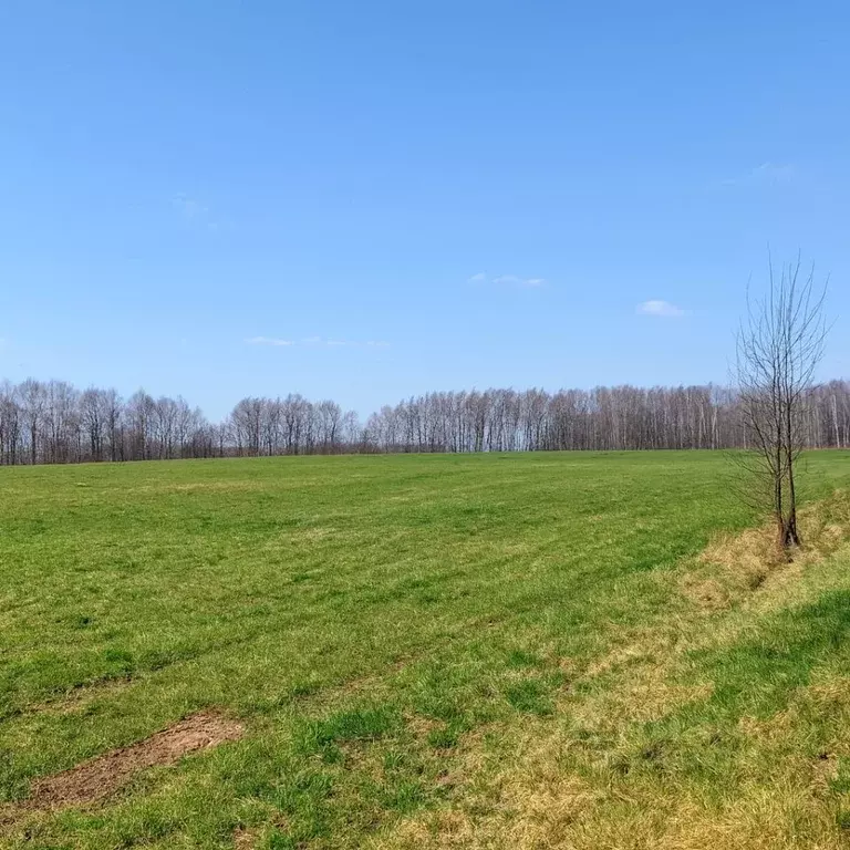 Участок в Калужская область, Бабынинский муниципальный округ, ... - Фото 2