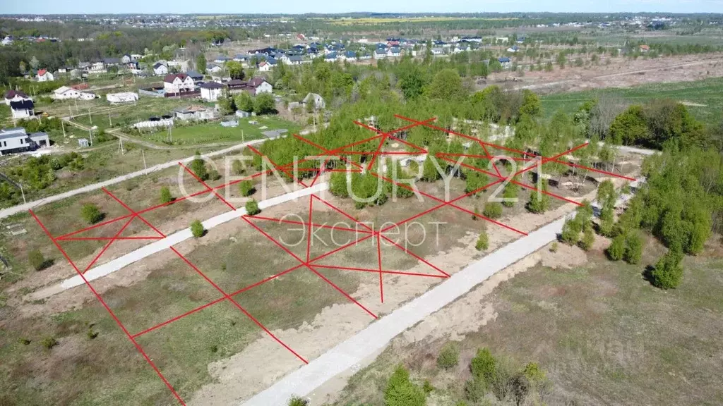 Участок в Калининградская область, Гурьевский муниципальный округ, ... - Фото 2