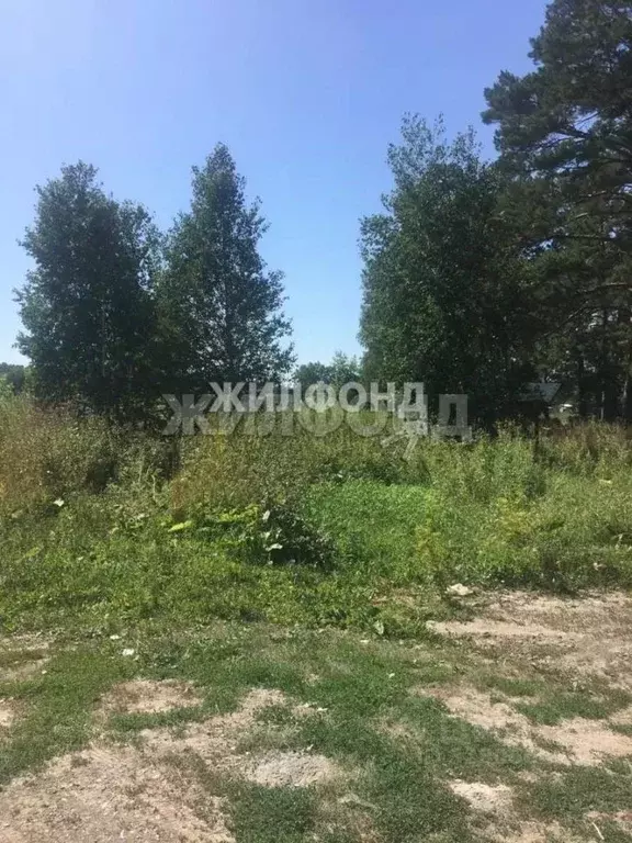 Участок в Новосибирская область, Искитимский район, Быстровский ... - Фото 1