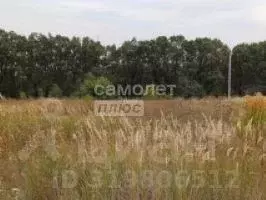 Участок в Курская область, Курск ул. Петра Лихина, 7 (10.0 сот.) - Фото 1