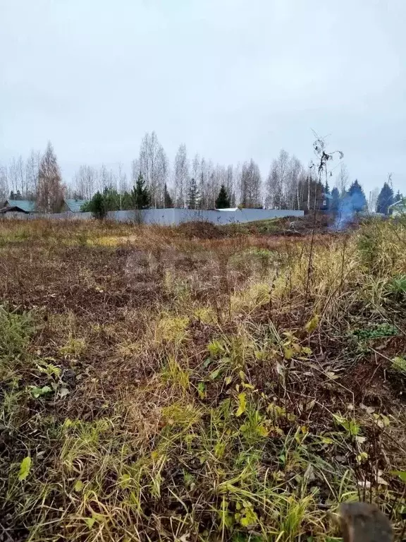 Участок в Вологодская область, Березка-3 садоводческое товарищество  ... - Фото 2