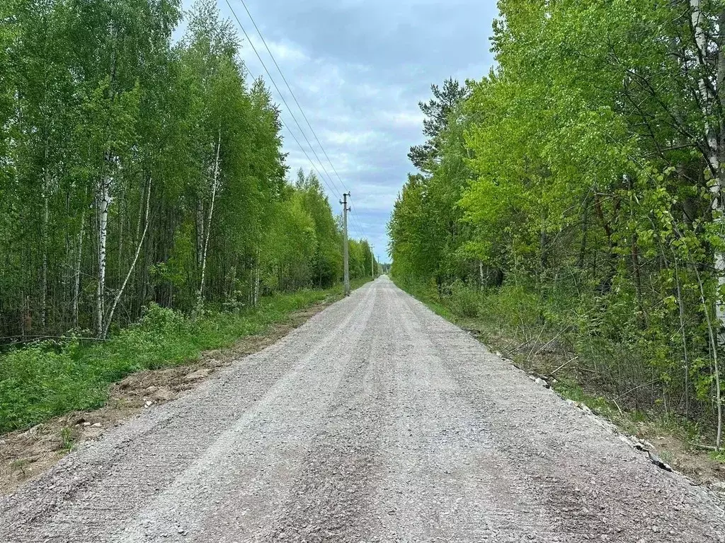 Участок в Ленинградская область, Всеволожский район, Рахьинское ... - Фото 0