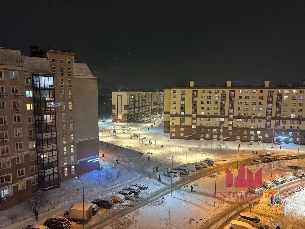 2-к кв. Московская область, Ленинский городской округ, Лопатино пгт ... - Фото 2