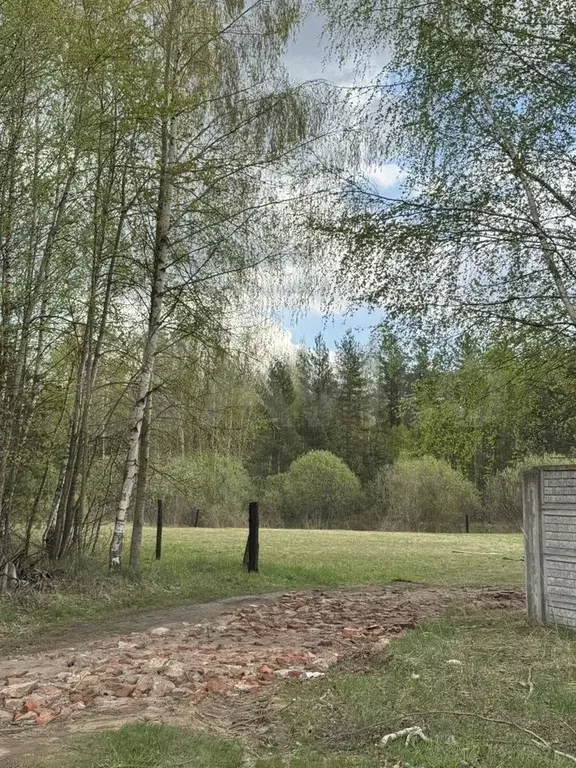 Участок 10 сот. (ИЖС) - Фото 1