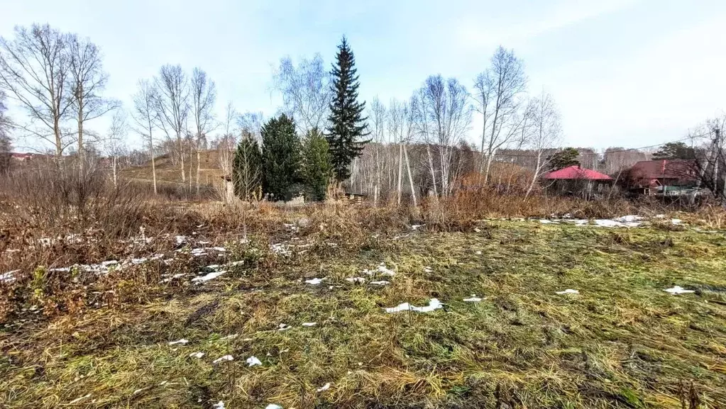 Участок в Новосибирская область, Новосибирск ул. Полякова (8.0 сот.) - Фото 1