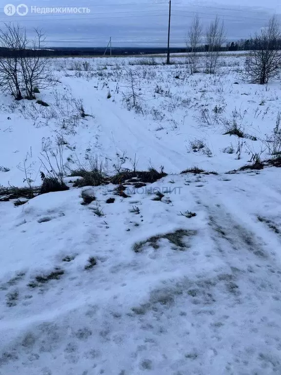 Участок в Нижегородская область, рабочий посёлок Дальнее ... - Фото 0