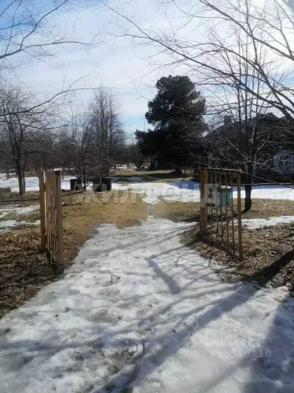 Дом в Новосибирская область, Колыванский район, д. Красный Яр ... - Фото 0