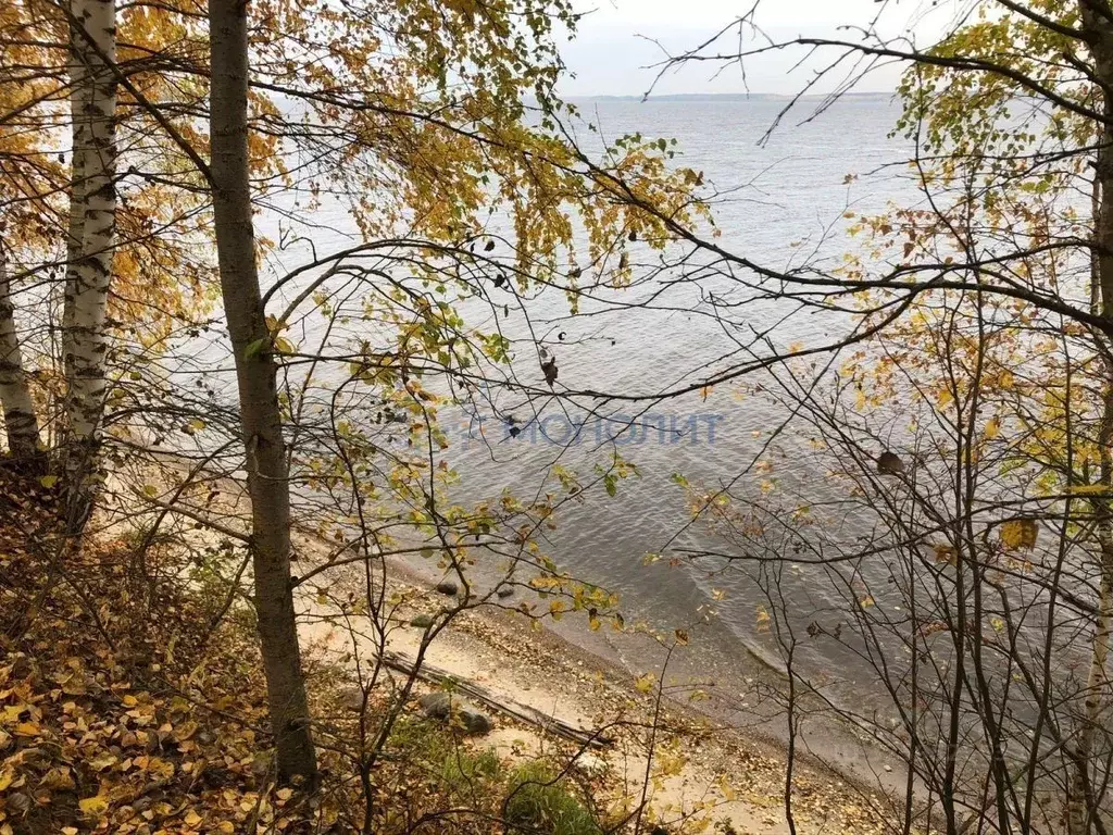 Участок в Ивановская область, Пучежский район, Илья-Высоковское с/пос, ... - Фото 1