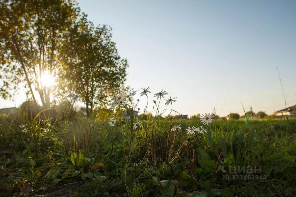 Участок, 13 сот., сельхоз (снт или днп) - Фото 1