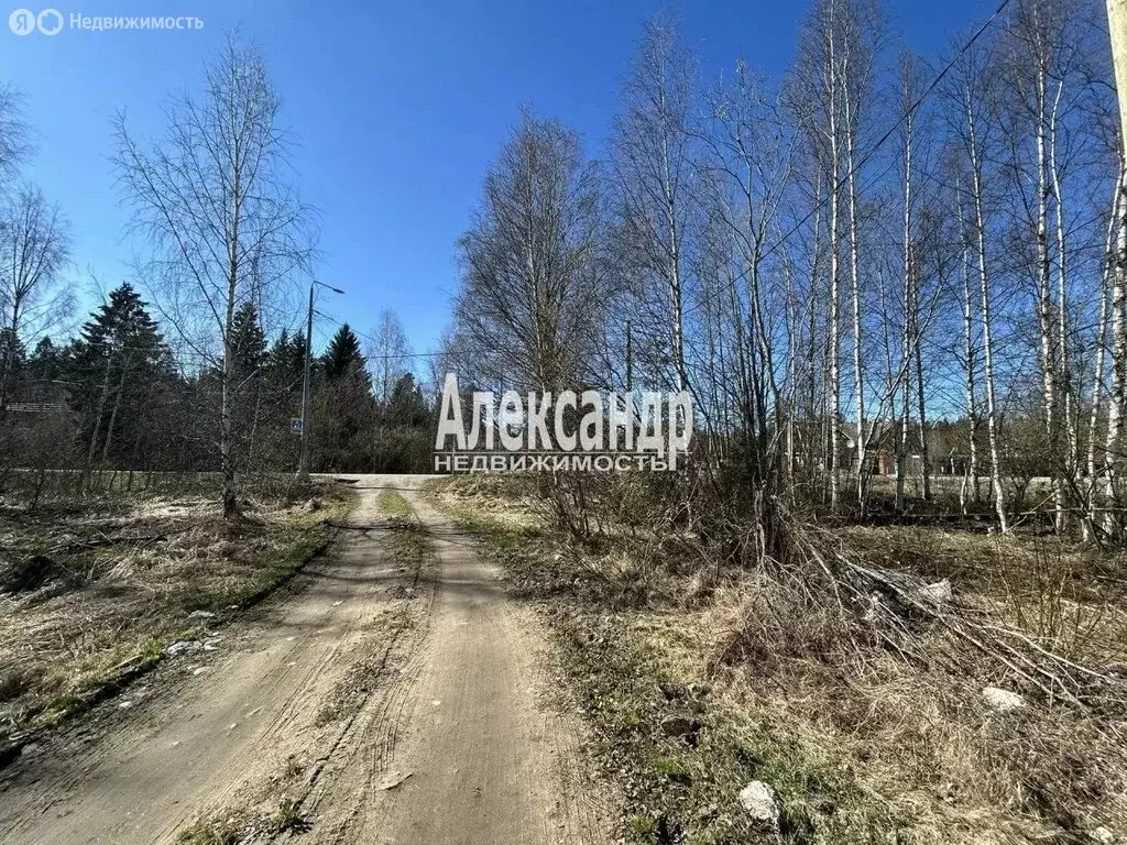 Участок в Ленинградская область, Приозерское городское поселение, ... - Фото 2