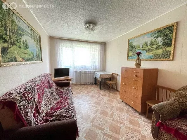 1-комнатная квартира: село Шелокша, улица Крупнова, 43 (33 м) - Фото 0