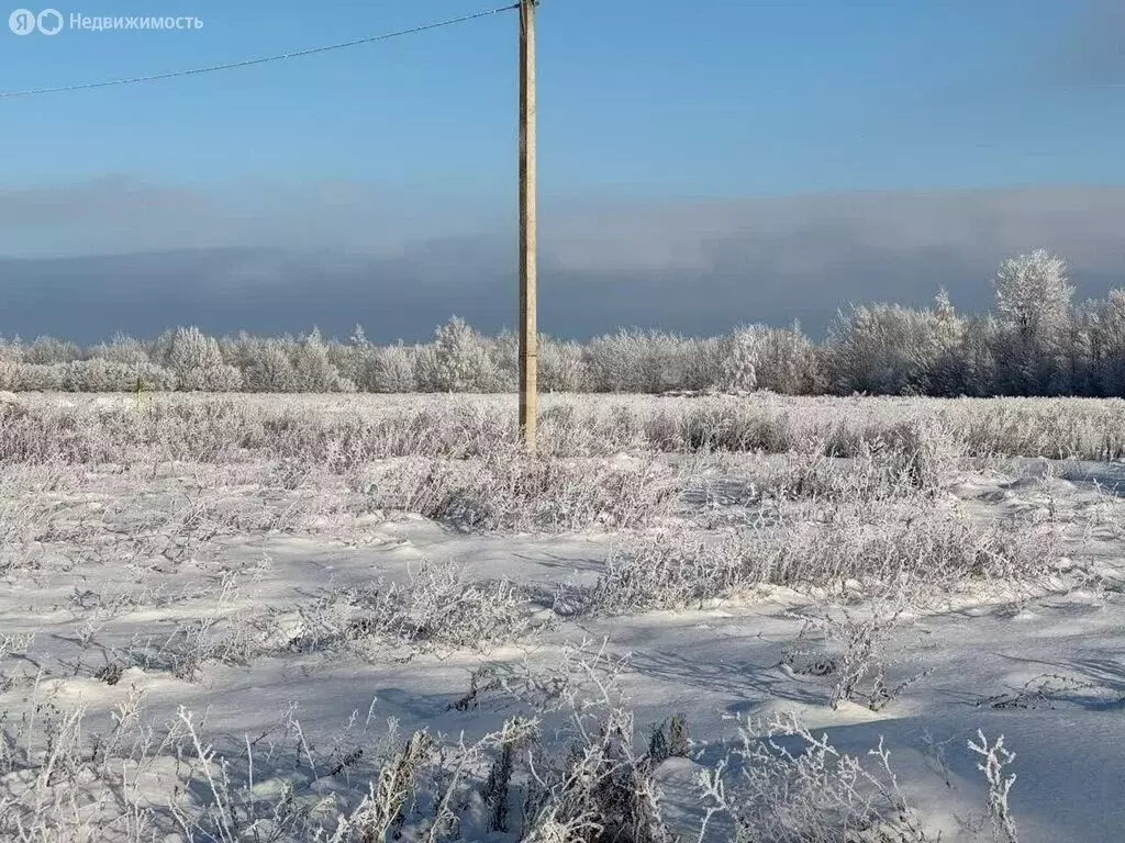 Участок в село Дрокино, улица Чкалова (12.5 м) - Фото 1