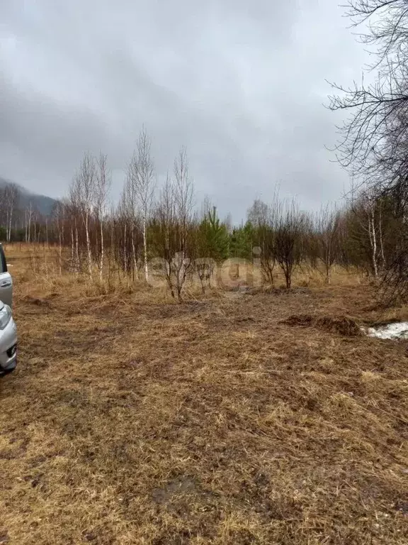 Участок в Новосибирская область, Новосибирский район, Барышевский ... - Фото 0