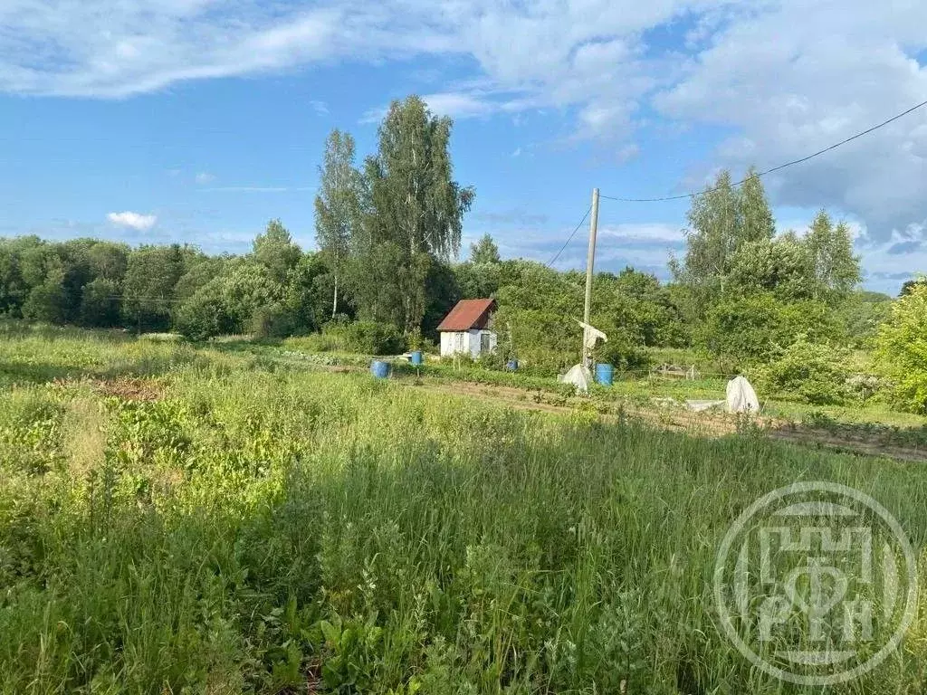 Участок в Ленинградская область, Лужский район, Володарское с/пос, ... - Фото 1