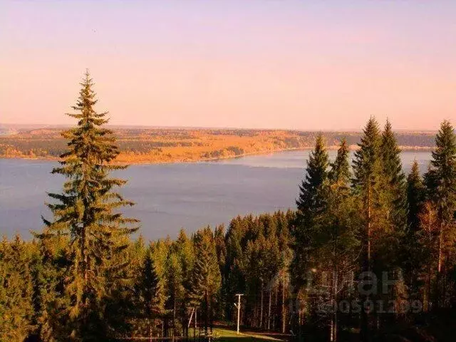 Дом в Пермский край, Авиценна садовые участки  (714 м) - Фото 1