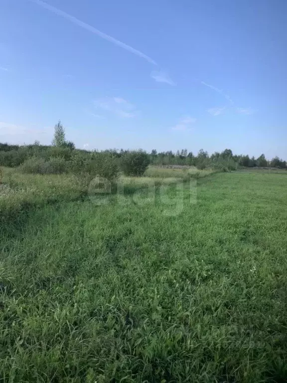 Участок в Тюменская область, Нижнетавдинский муниципальный округ, ... - Фото 2