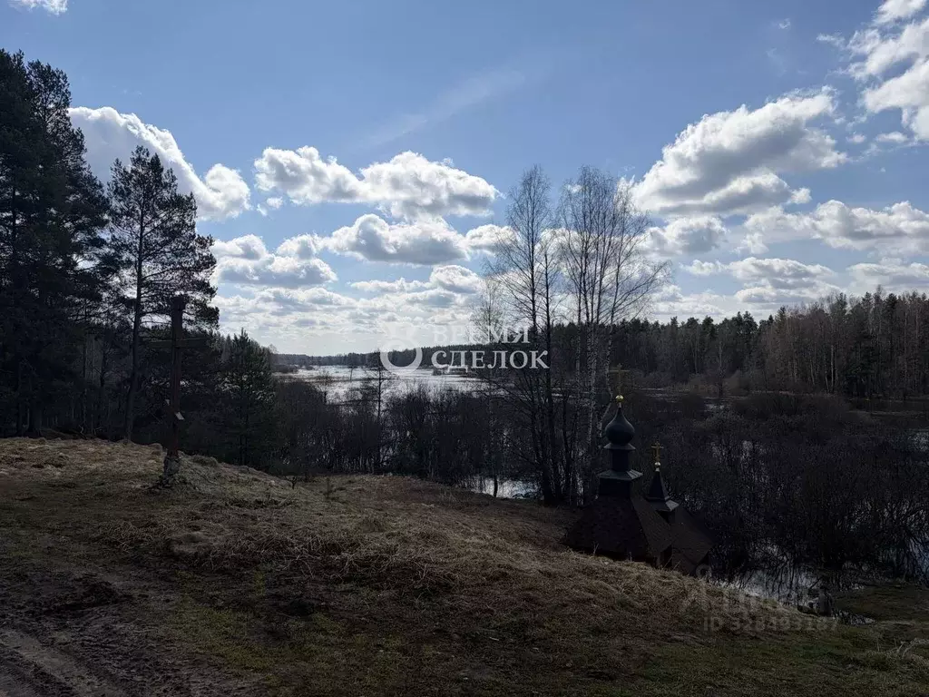 Участок в Владимирская область, Судогодский муниципальный округ, с. ... - Фото 2