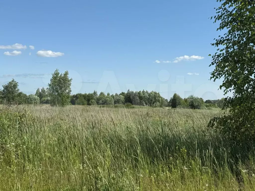 Участок 9 сот. (СНТ, ДНП) - Фото 1