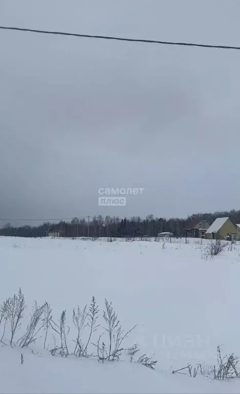 Участок в Башкортостан, Нуримановский район, Новокулевский сельсовет, ... - Фото 0