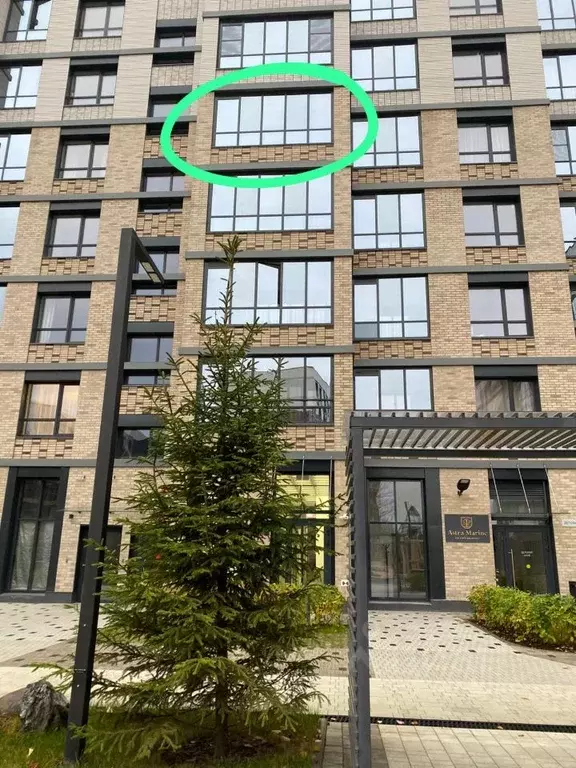 Студия Санкт-Петербург просп. Обуховской обороны, 36 (24.3 м) - Фото 1