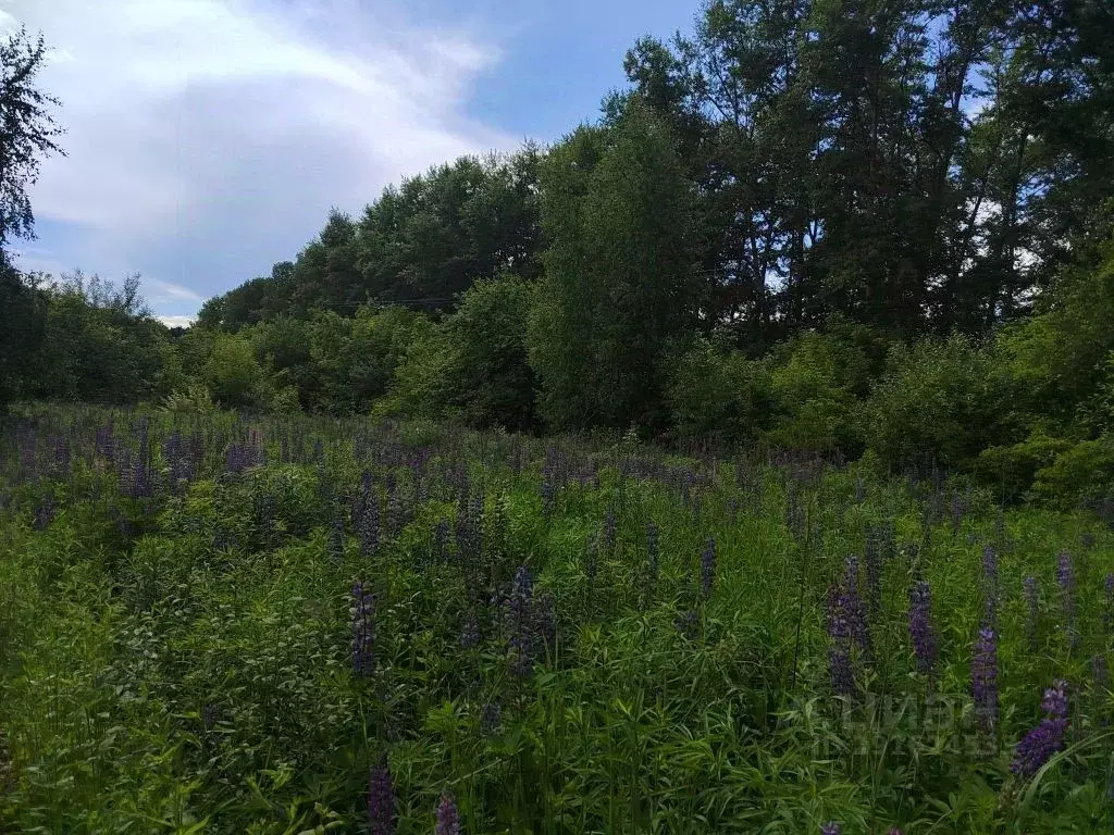 Участок в Орловская область, Орел Буревестник СНТ,  (20.0 сот.) - Фото 2