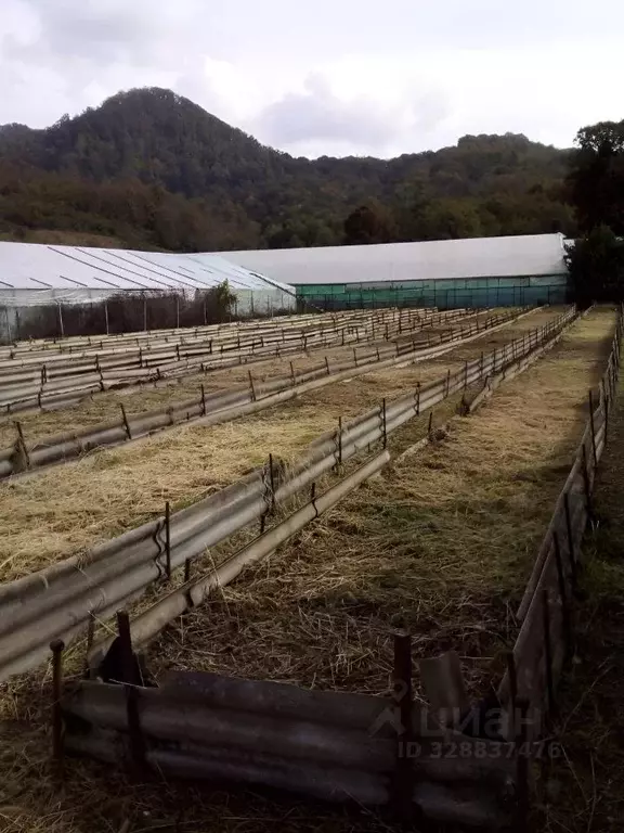 Участок в Краснодарский край, Сочи городской округ, с. Верхнее Буу ул. ... - Фото 2