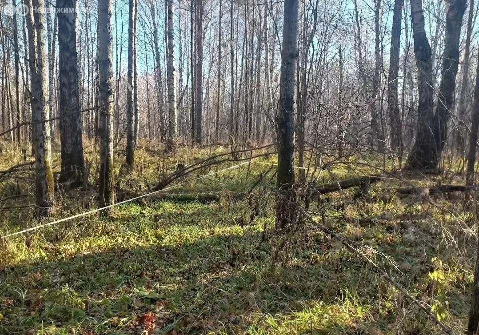 Участок в Тобольск, микрорайон Усадьба (10 м) - Фото 1