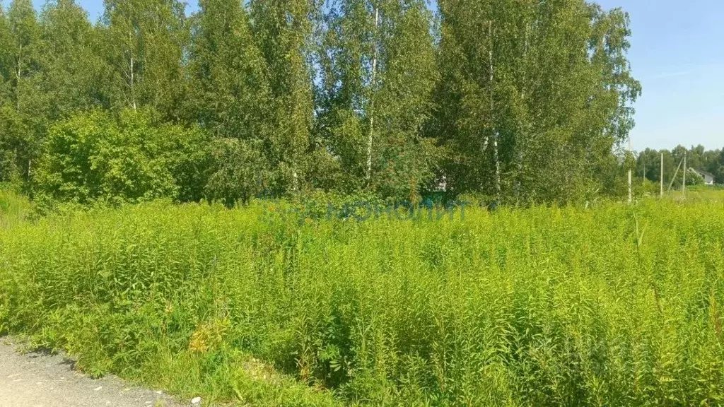 Участок в Нижегородская область, Бор ул. Ворожейкина (10.0 сот.) - Фото 1