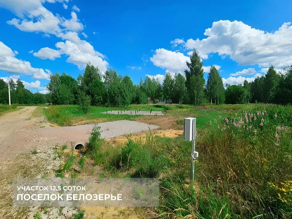 Участок в Ленинградская область, Тосненский район, Любанское городское ... - Фото 2