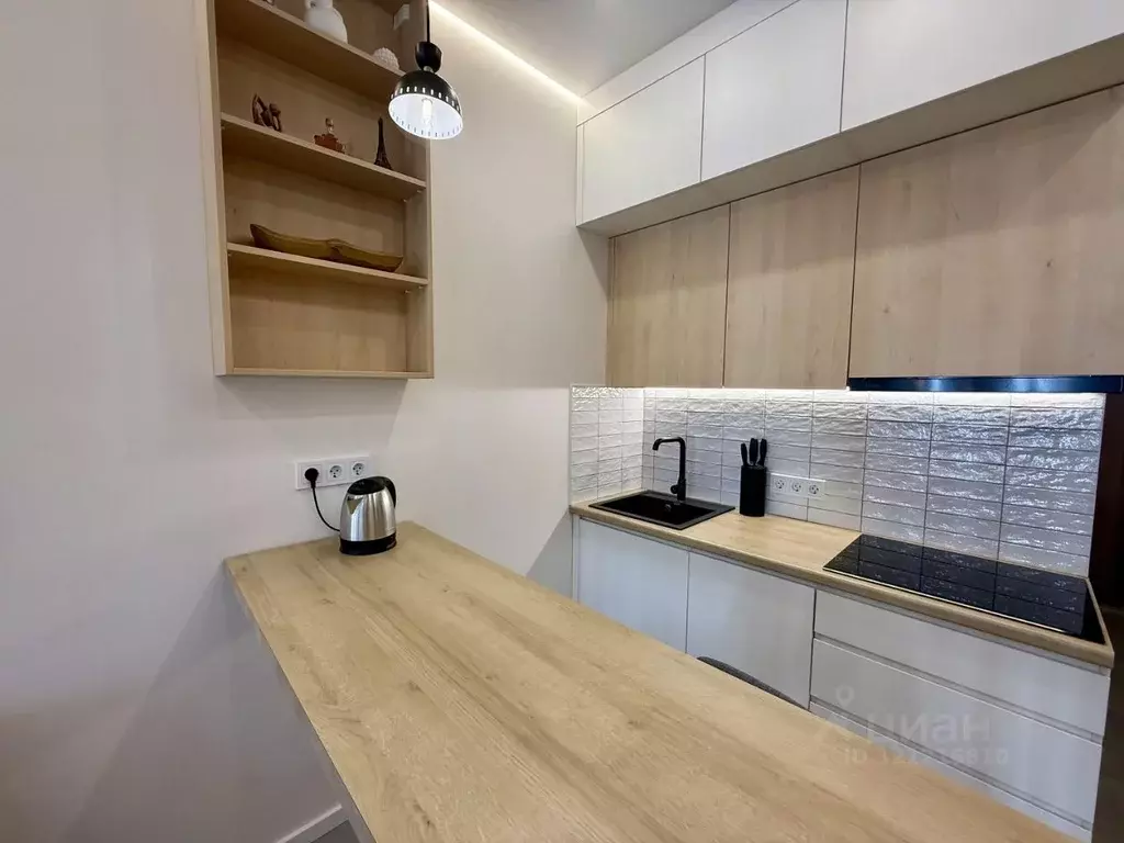 Студия Краснодарский край, Сочи городской округ, Дагомыс пгт ш. ... - Фото 2