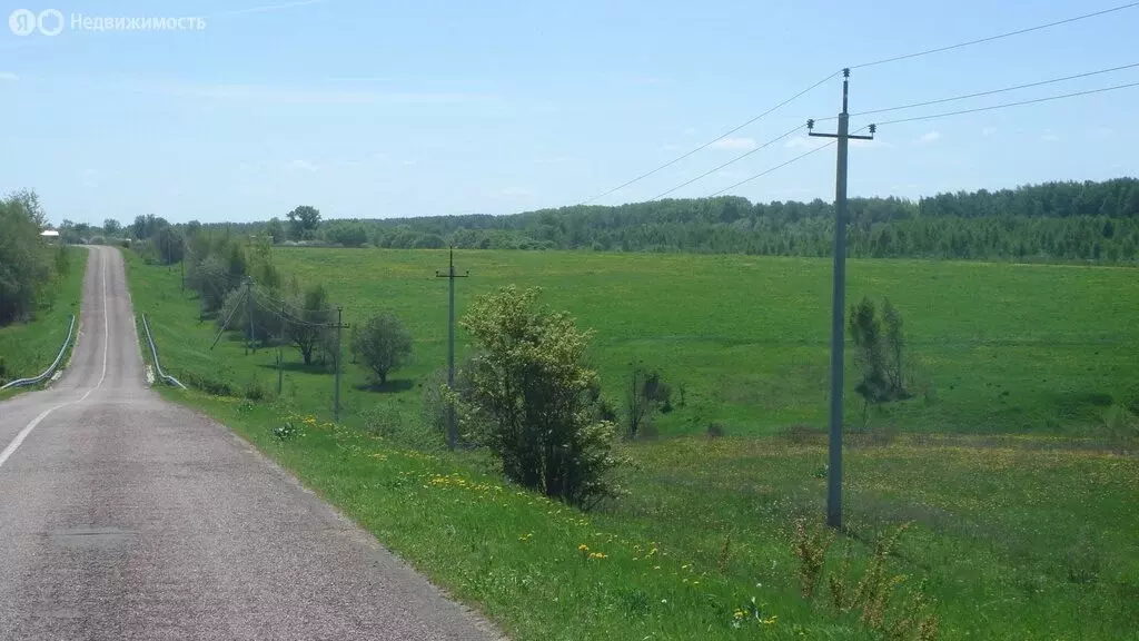 Участок в Московская область, городской округ Кашира (1404 м) - Фото 0