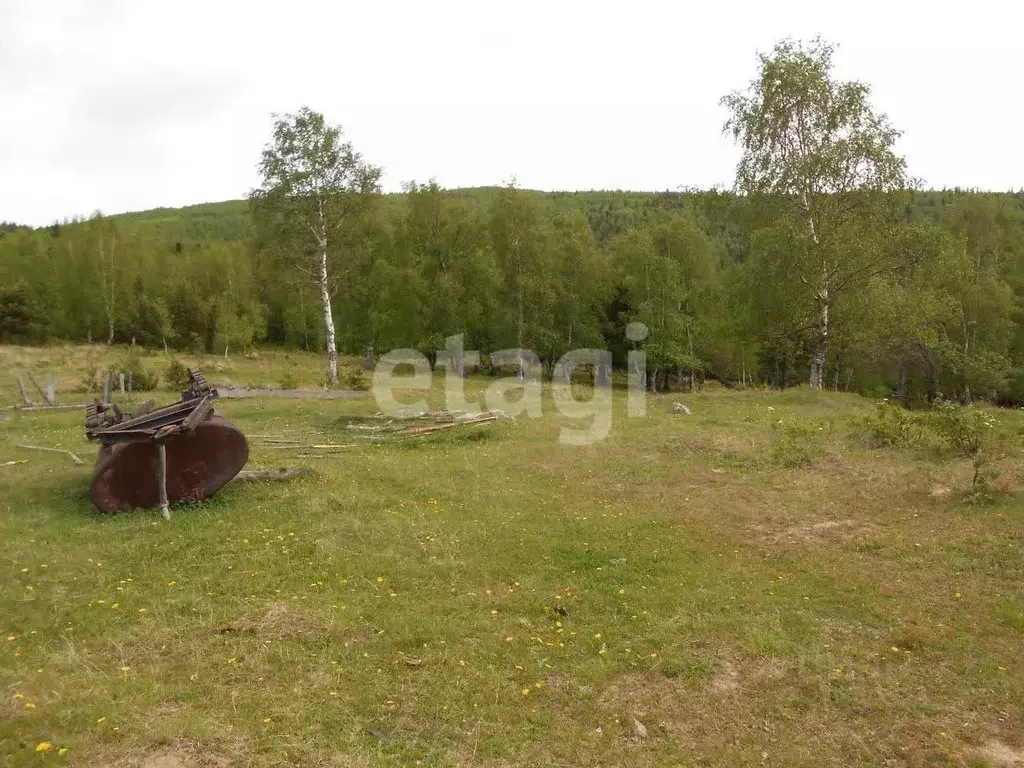 Участок в Бурятия, Бабушкин Кабанский район, Кяхтинская ул. (13.8 ... - Фото 1