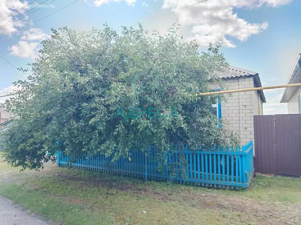 Дом в Белгородская область, Новооскольский муниципальный округ, село ... - Фото 1