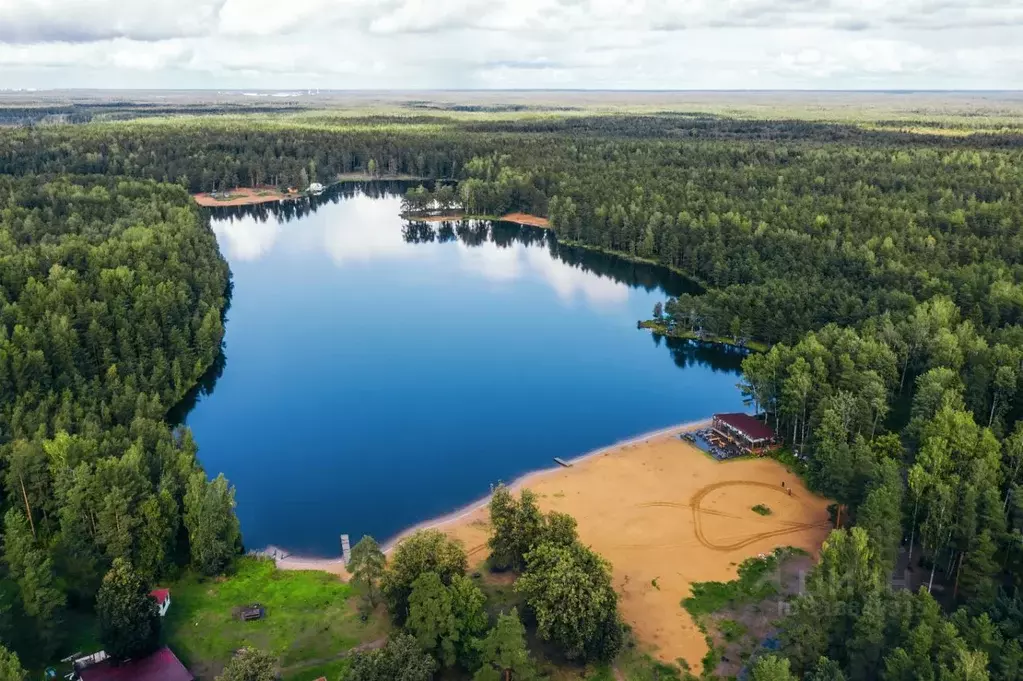Участок в Ленинградская область, Всеволожский район, Колтушское ... - Фото 2