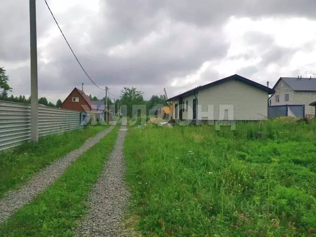 Участок в Новосибирская область, Новосибирск Сибиряк-2 СТ, 105 (5.8 ... - Фото 1