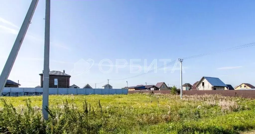 Участок в Тюменская область, Тюменский район, с. Чикча ул. Николая ... - Фото 0