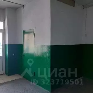 Помещение свободного назначения в Курганская область, Шумиха ул. ... - Фото 1